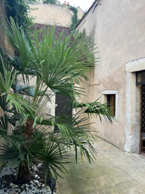 Cosy appartement Hyper centre ville avec cour + Patio